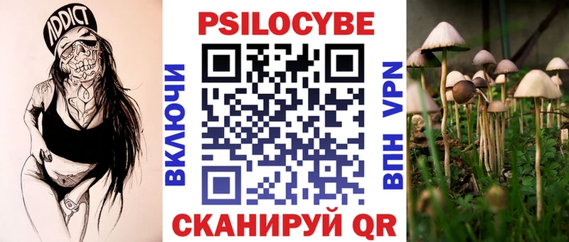 наркошоп  Малоархангельск  Псилоцибиновые грибы Magic Shrooms 